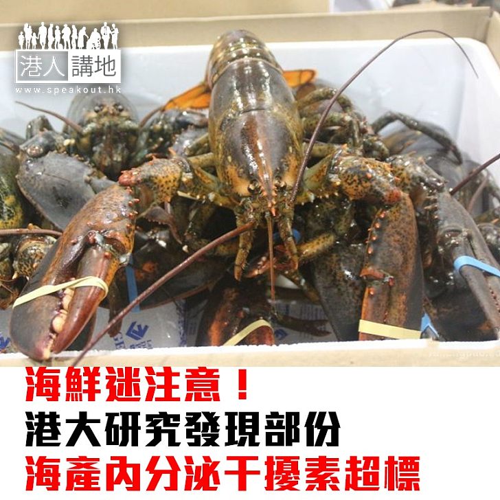 【焦點新聞】海鮮迷注意!港大研究發現部份海產內分泌干擾素超標