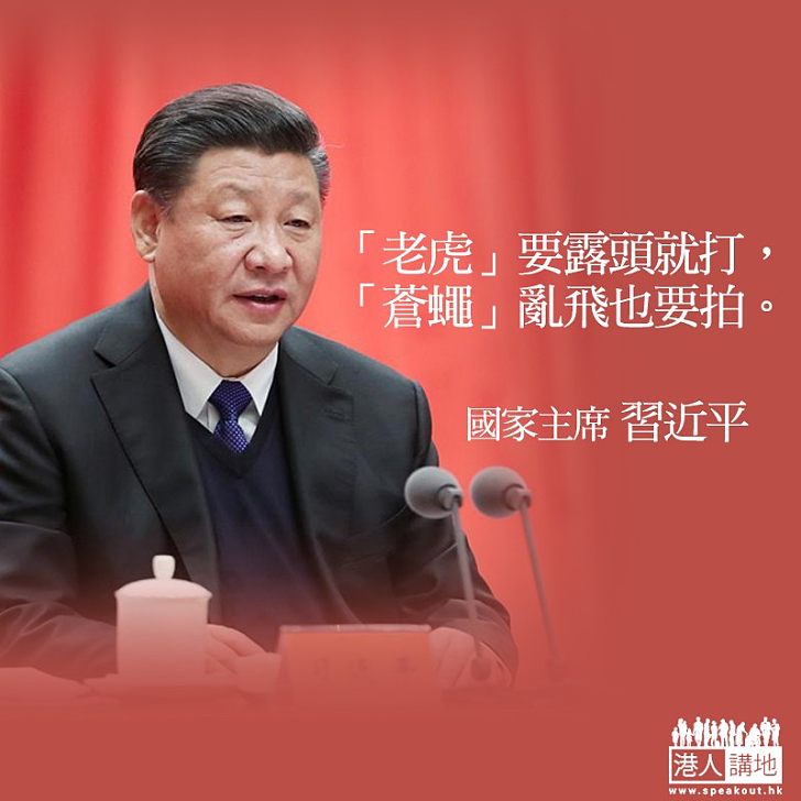 【從嚴治黨】習近平:虎露頭就打 蠅亂飛要拍