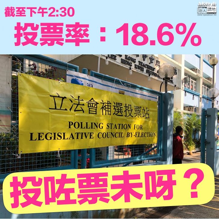 【踴躍投票】截至下午2點半 投票率為18.6%