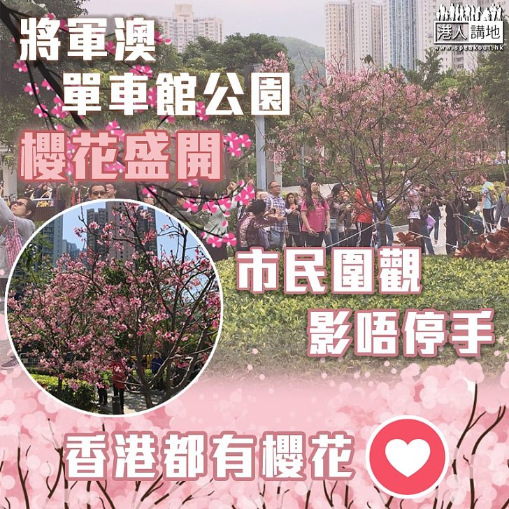 【真的驚艷】單車館公園現賞櫻人龍