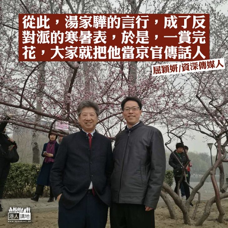 兩個男人的櫻花