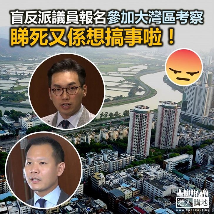 盲反派九議員考察大灣區 唔搞事真了解無任歡迎