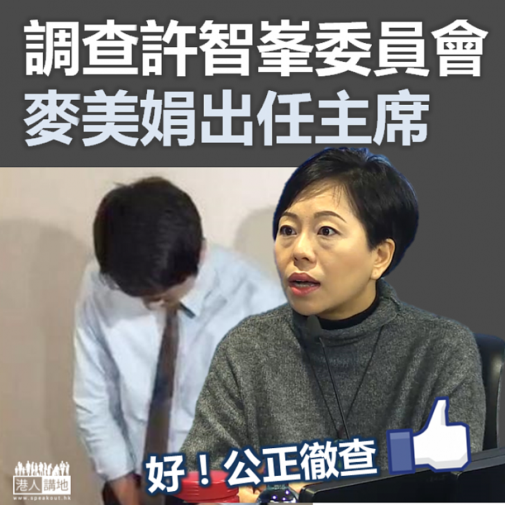 【嚴正調查】調查許智峯委員會 麥美娟出任主席