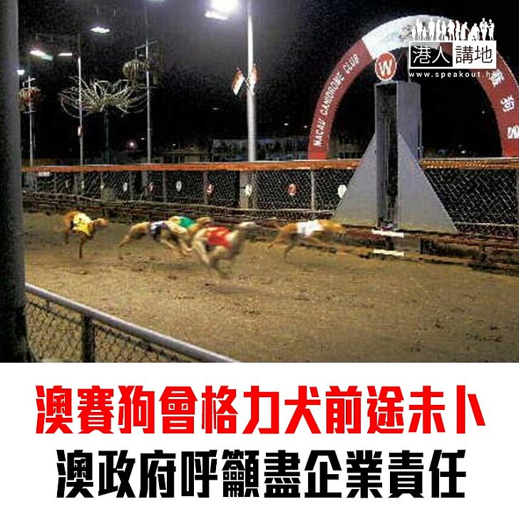 【焦點新聞】澳門民政總署呼籲賽狗會提交遷置犬隻具體場所 重申應盡企業及飼主責任