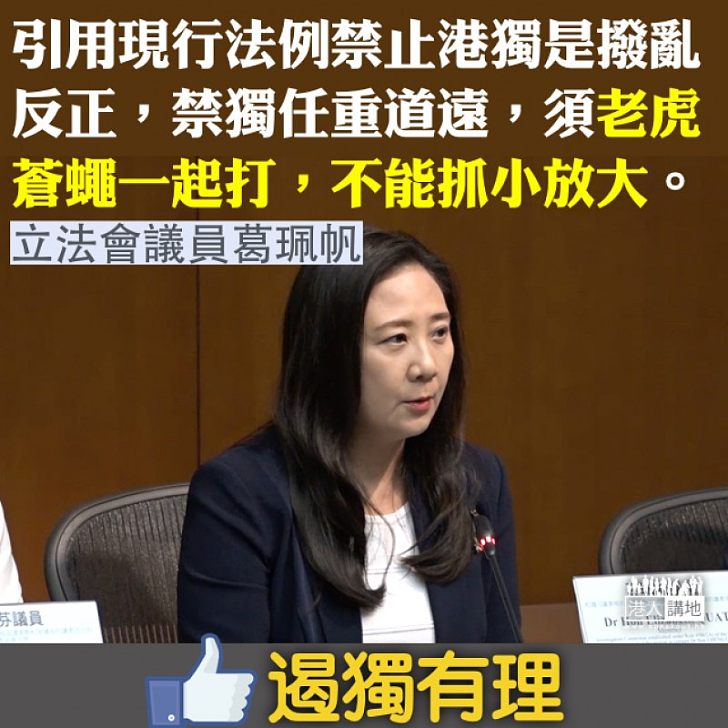 【支持掃獨】港府對付港獨有「撒手鐧」 葛珮帆:老虎蒼蠅一起打,不能抓小放大