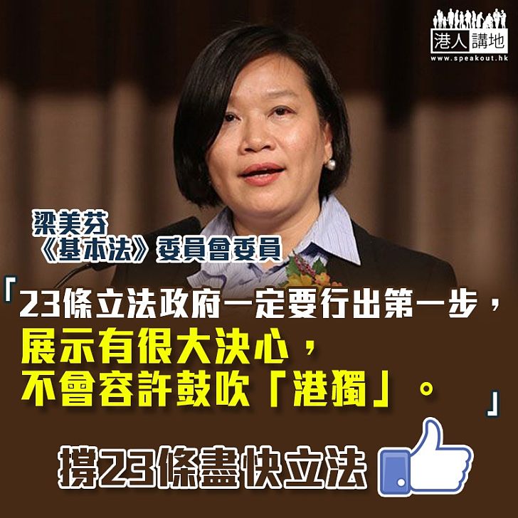 【「港獨」禍港】梁美芬:政府應顯示立法誠意