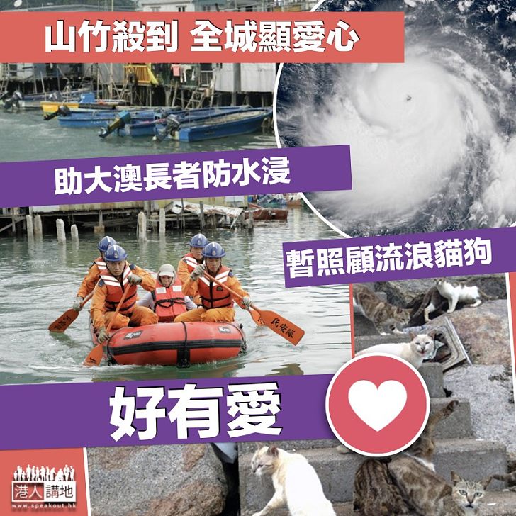 【風雨顯關懷】「山竹」來勢兇 志願團體籲助大澳長者及照顧流浪貓狗
