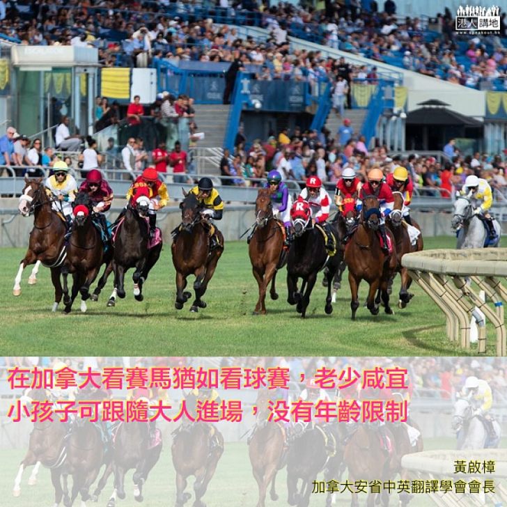 如何看待「賽馬」?