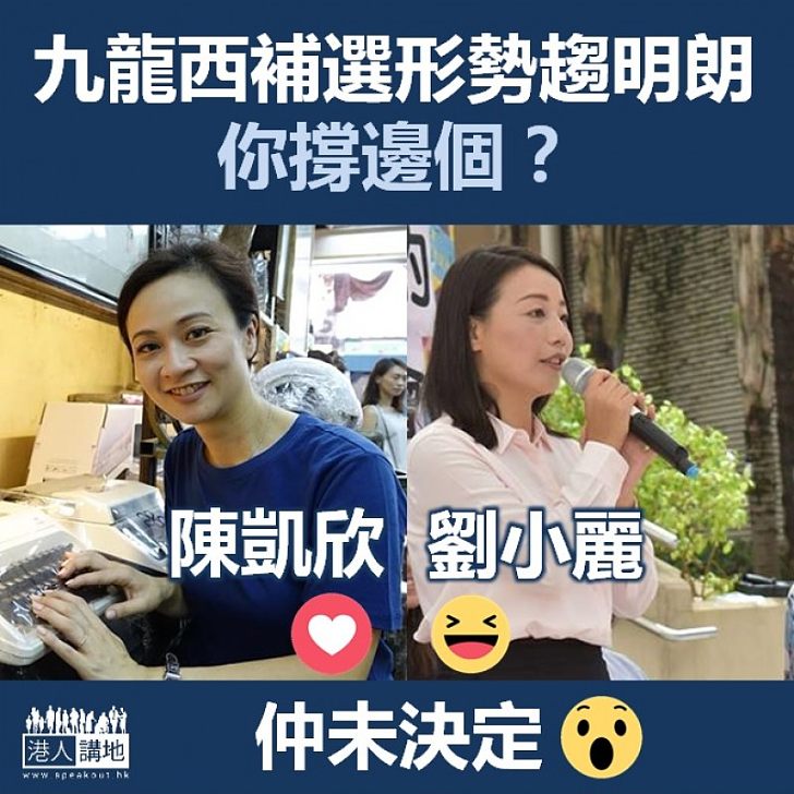 【誰主九西】九龍西戰局趨明朗 料成兩女將對決之局