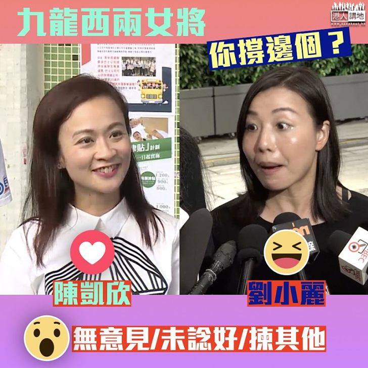 【如何選擇】九龍西兩女將 你撐邊個？