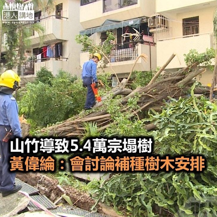 【焦點新聞】山竹導致5.4萬宗塌樹 黃偉綸：會討論補種樹木安排