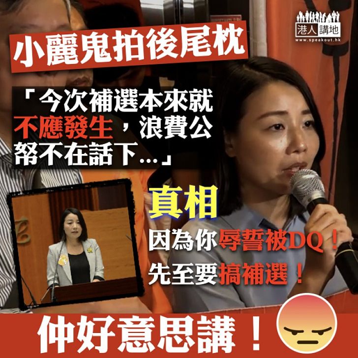 【因你而起】劉小麗辱誓被DQ 浪費2 億公帑責無旁貸