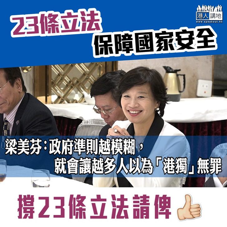 【撐立23條】梁美芬:政府準則越模糊 就會讓越多人以為「港獨」無罪