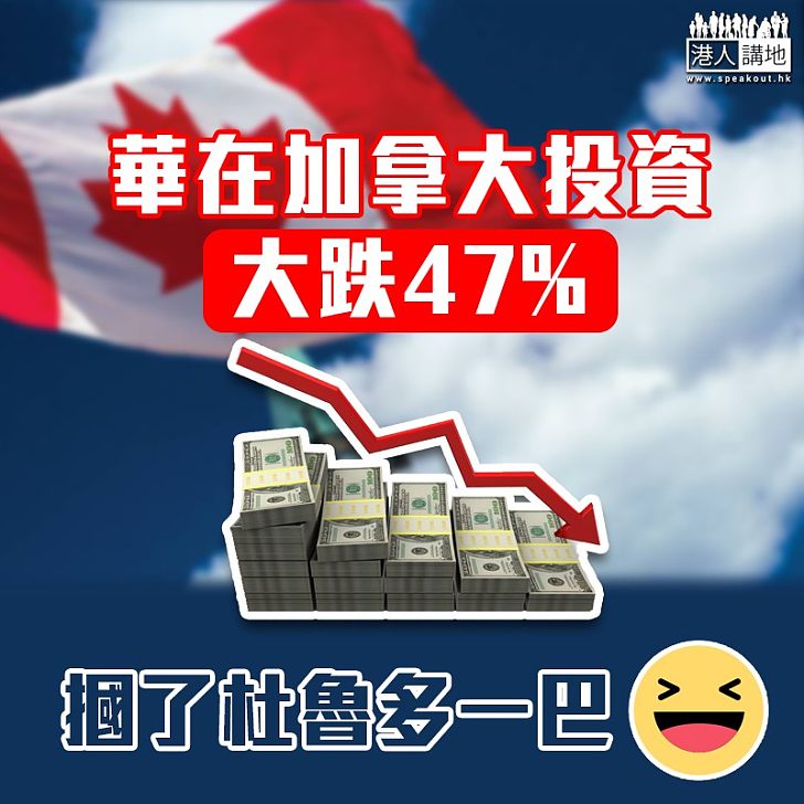 【真實數據】華在加拿大投資大跌47%