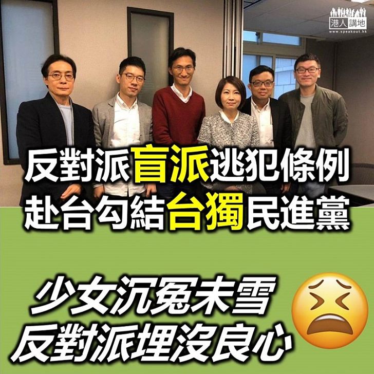 【盲反派可恥】反對派赴台會見「台獨」民主黨