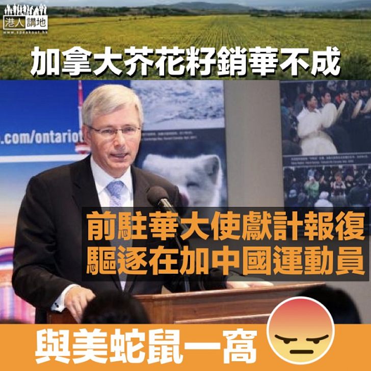【陰招報復】加拿大芥花籽銷華不成 前駐華大使:驅逐中國運動員出境