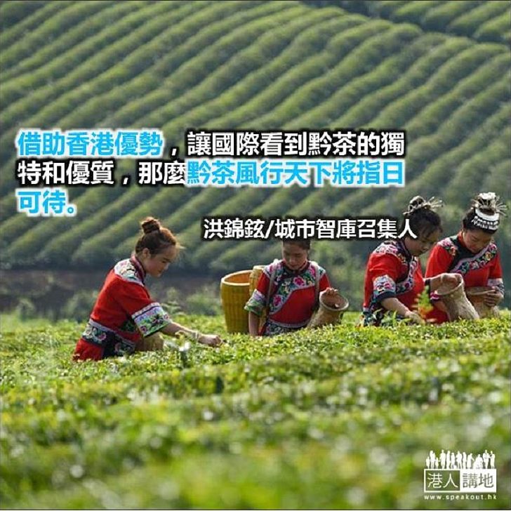 綠色扶貧的香港角色