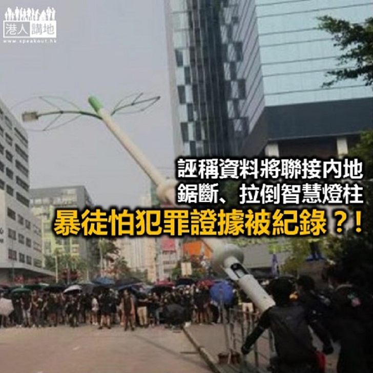 他們勇武 但怕了一支燈柱?