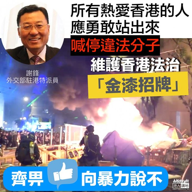 【向暴力說不】謝鋒:外國干預勢力顛倒黑白、止暴制亂刻不容緩