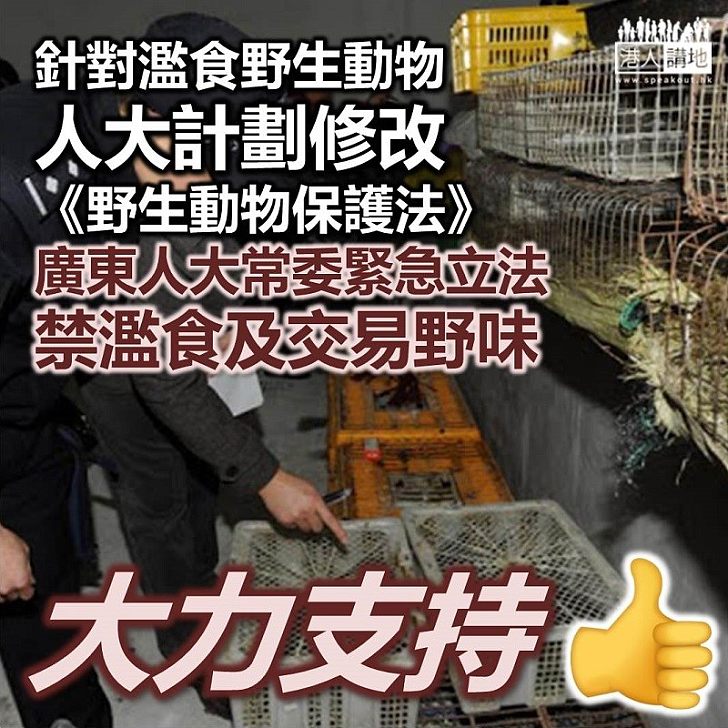 【盡快修法】針對濫食野生動物、人大計劃修改《野生動物保護法》 廣東省人大常委會緊急立法、禁濫食及交易野味