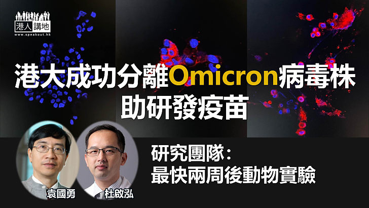 【變種病毒】港大成功分離Omicron病毒株 助研疫苗 最快兩周後動物實驗