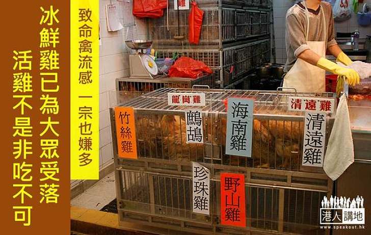 禽流感一宗也嫌多,活雞是否非吃不可?