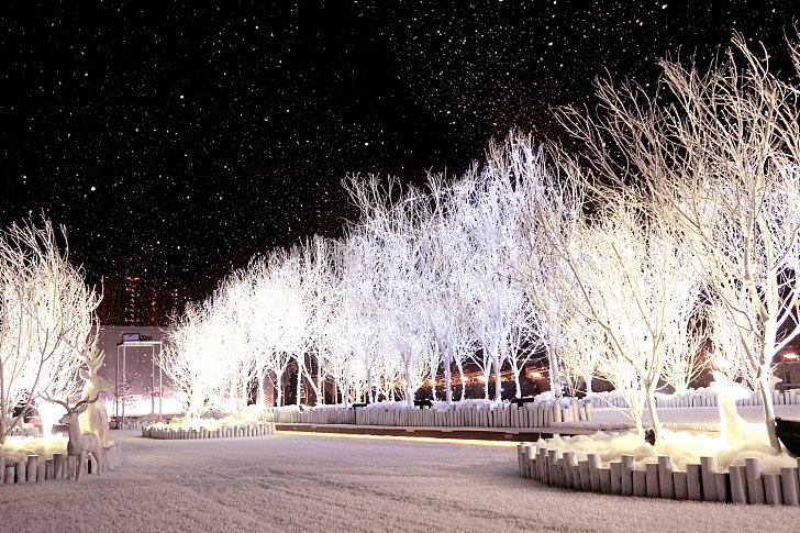 【白色聖誕】今年，過一個飄雪聖誕