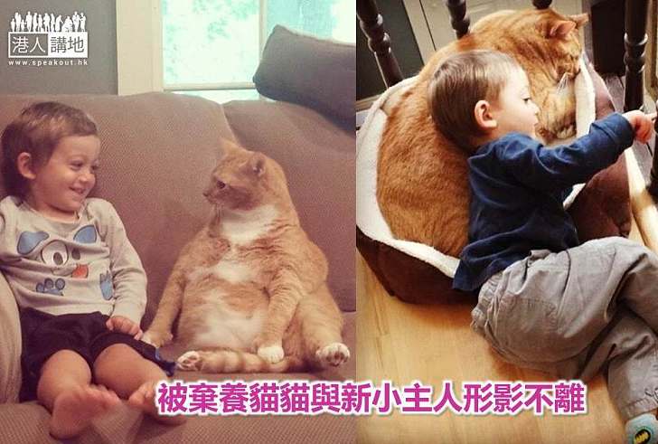 【暖心故事】被棄養貓貓與新小主人形影不離