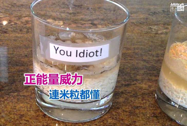 【世界搜奇】正能量威力 連米粒都懂