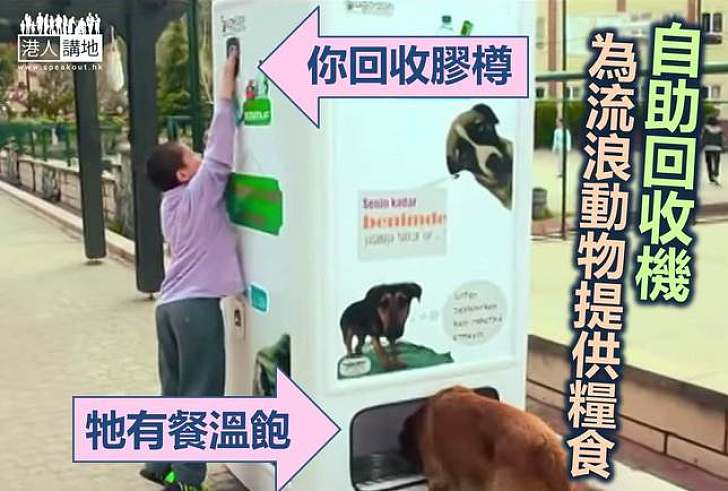 【社會關注】土耳其自助回收機 保護環境也助流浪貓狗
