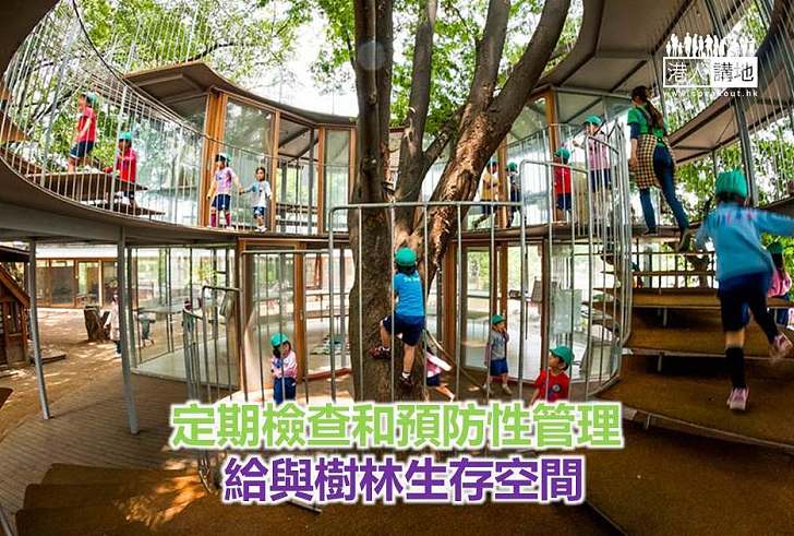 【永續生活】定期檢查和預防性管理 給與樹林生存空間