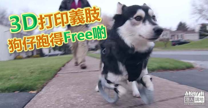 【科技重生】多謝立體打印 小狗踏出第一步