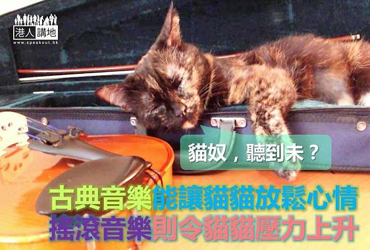 【動物心理學】古典音樂能讓貓貓放鬆心情 搖滾音樂則令貓貓壓力上升