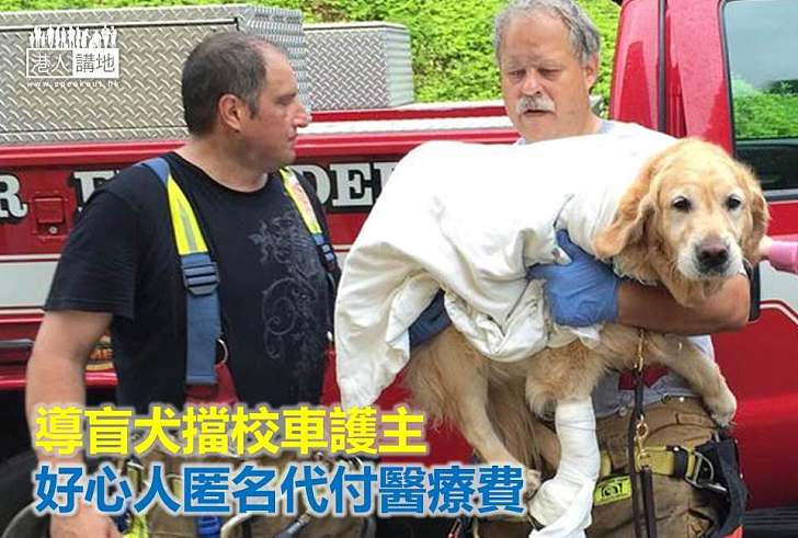【暖心故事】導盲犬擋校車護主 好心人匿名代付醫療費