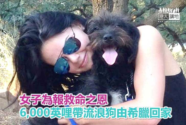 【暖心故事】女子為報救命之恩 6,000英哩帶流浪狗由希臘回家