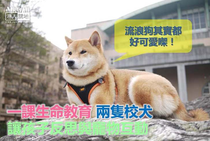 【尊重生命】一課生命教育 兩隻校犬 讓孩子反思與寵物互動