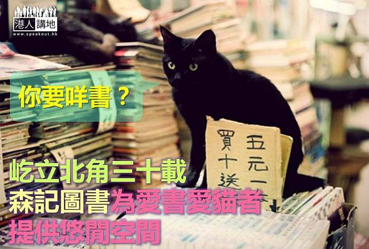 【香港老舖】屹立北角三十載 森記圖書為愛書愛貓者提供悠閒空間