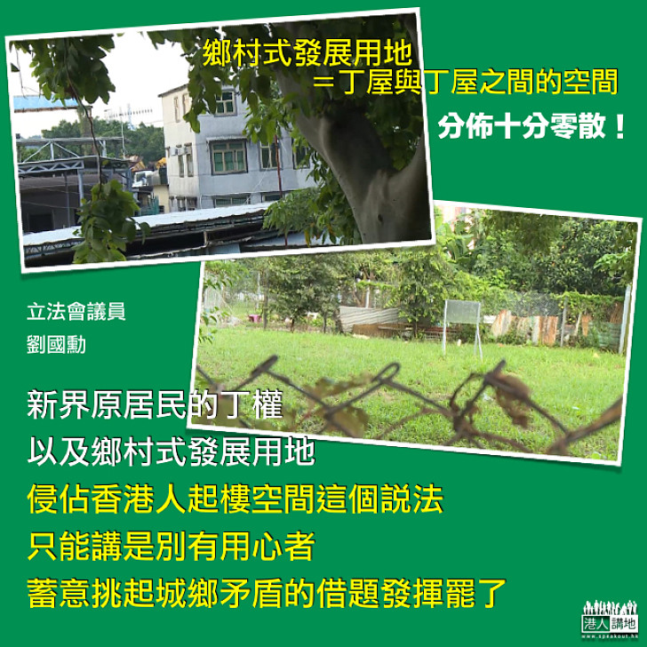 新界土地與丁權(二)