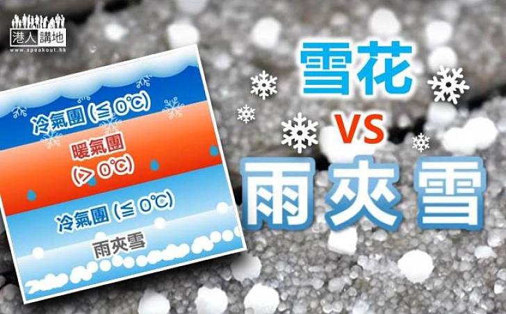 【雨夾雪】為何降下的是小冰粒而非雪花？