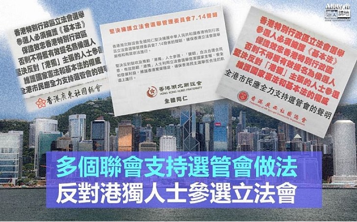 【 立法會參選人要簽署確認書】 民間團體登報支持選管會做法   反對港獨人士參選立法會  