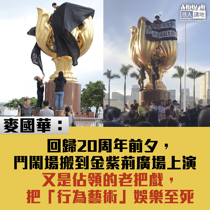 攀進金紫荊花心