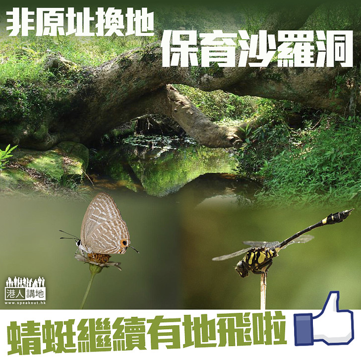 【保育生態】 保育沙羅洞 非原址換地