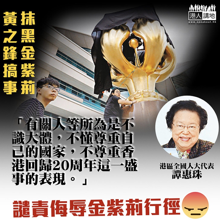 【成何體統】黃之鋒抹黑金紫荊 譚惠珠:不識大體、不尊重國家、不尊重回歸