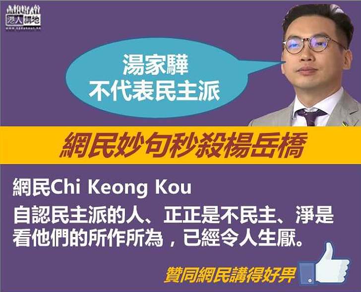 【秒殺楊岳橋】網民：「自認民主派的人、正正是不民主、淨是看他們的所作所為，已經令人生厭。」