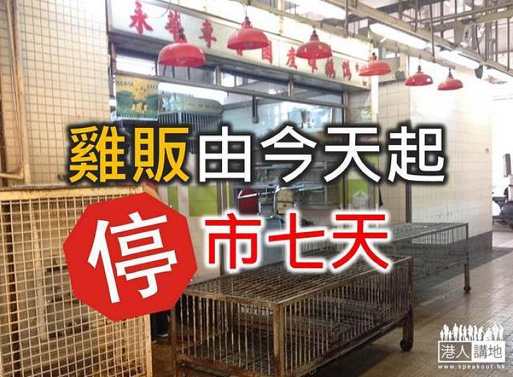 雞販由今天起停市七天